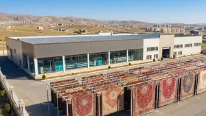 قالیشویی خوب در پردیس
