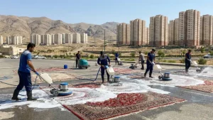 قالیشویی در فاز ۸