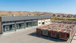 قالیشویی در پردیس