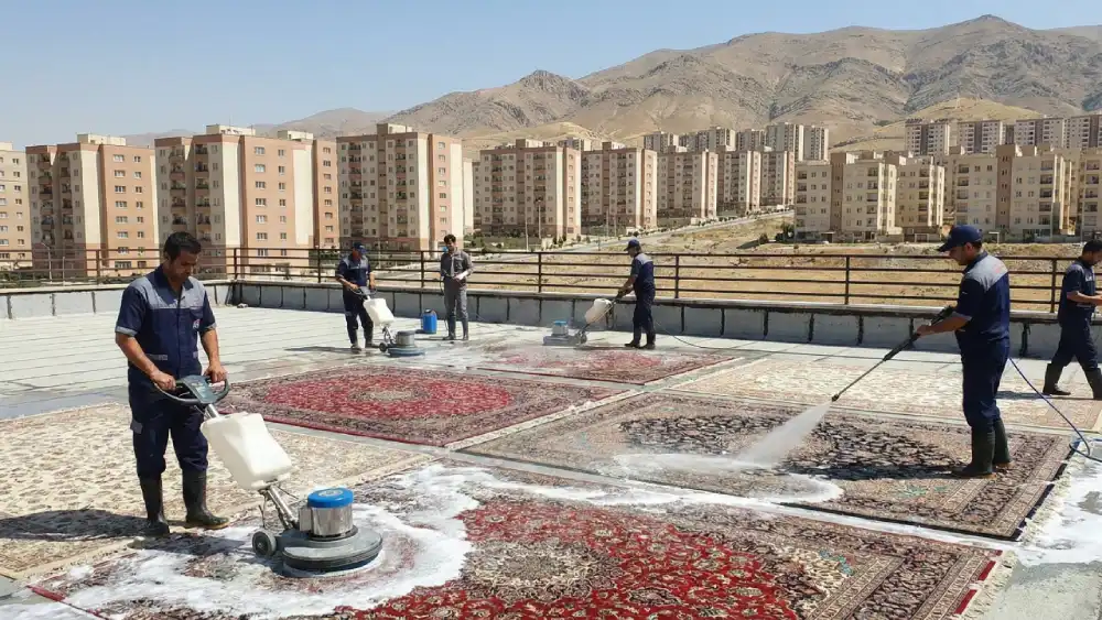 قالیشویی فاز ۲ پردیس